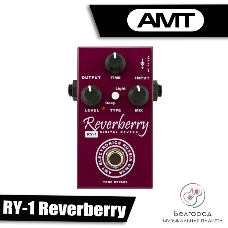 AMT RY-1 Reverberry - Цифровой ревербератор