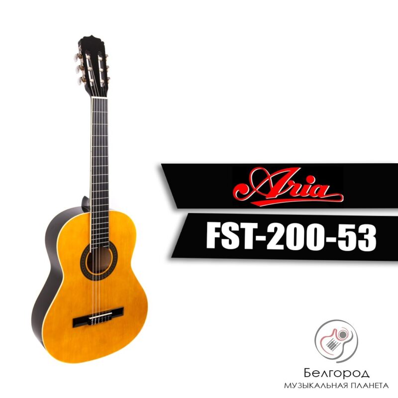 ARIA FIESTA FST-200-53 N - Гитара классическая 1/2