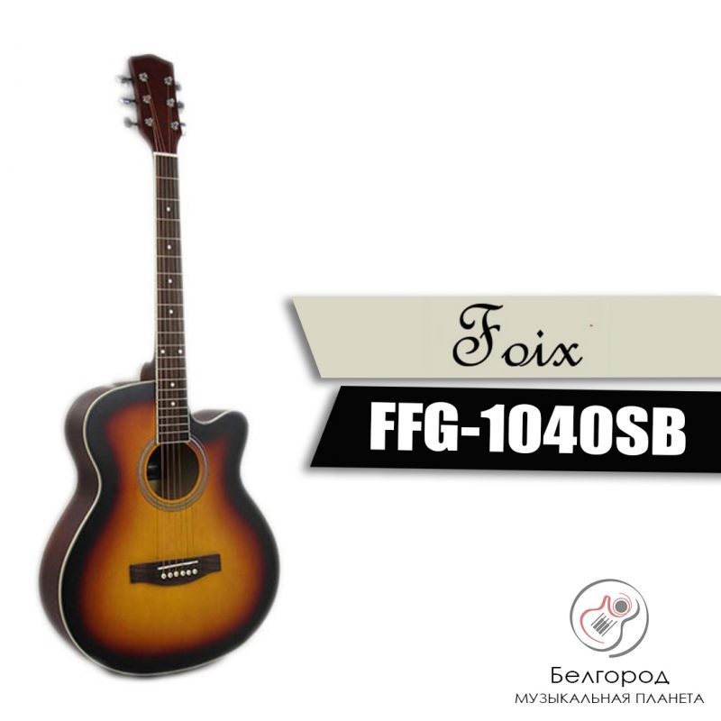 FOIX FFG-1040SB - Акустическая гитара