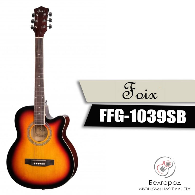 Foix FFG-1039SB - Акустическая гитара